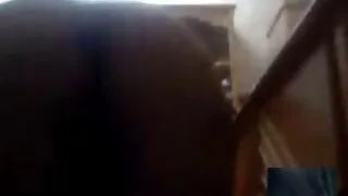 ebony sayang memuaskan nonton online video bokep pacarnya - 2022-02-24 14:33:47